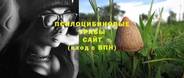 а пвп мука Дмитровск