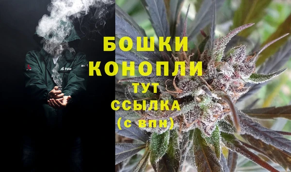 дмт Дмитриев