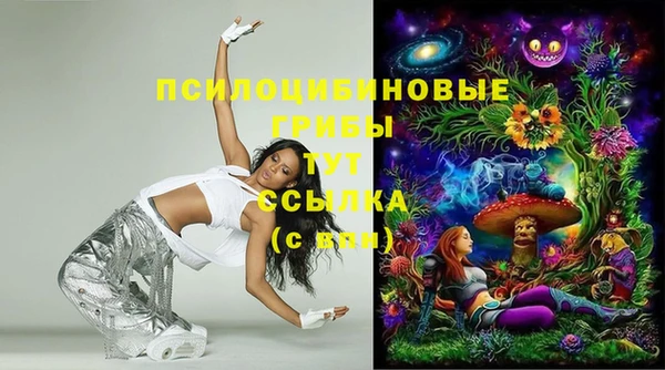 ПСИЛОЦИБИНОВЫЕ ГРИБЫ Чекалин