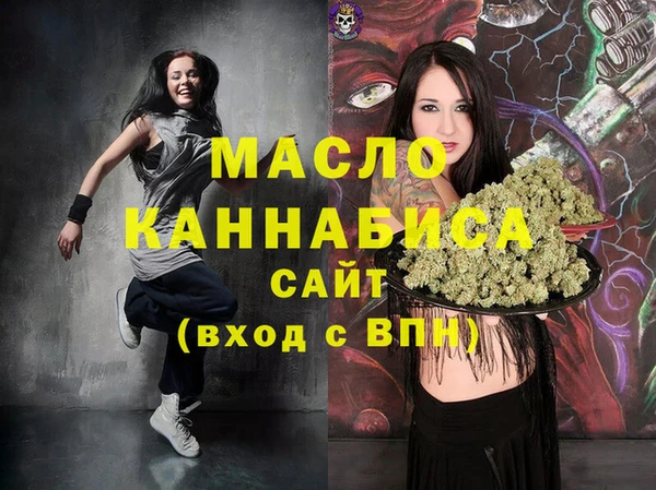 МДПВ Ельня