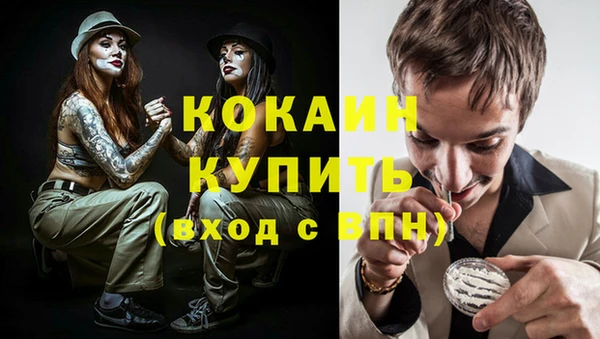 дмт Дмитриев