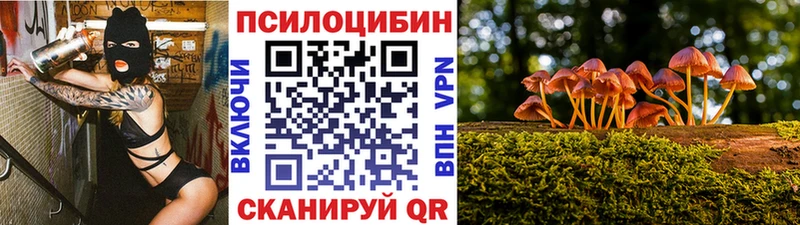Купить закладки Новосокольники Псилоцибиновые грибы GOLDEN TEACHER