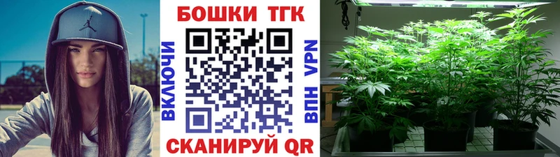 Бошки Шишки SATIVA & INDICA  Купить  Новосокольники 